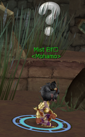 Mist Elf Mohamo Quest