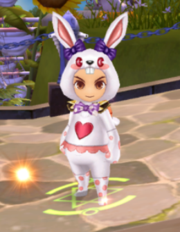 Rabbit Costume